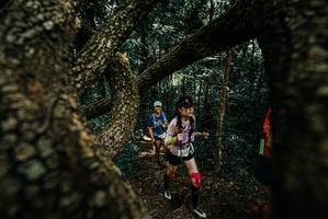 BIB: 
                            <button type="button" onclick="openModal(25702517)" class="btn btn-primary btn-sm float-right btn-popup" data-toggle="modal" data-target=".modal-high-quality">
                        <i class="fas fa-shopping-cart"></i> Add to Cart
                    </button>
                                            <button type="button" onclick="isThisMe(25702517, true)" class="btn btn-success btn-sm float-right btn-popup btn-isme hidden" data-toggle="tooltip" data-placement="bottom" title="นี่คือรูปของคุณใช่ไหม คลิกที่นี่เพื่อเอาเข้าอัลบั้ม">
                        <i class="fas fa-plus"></i> Add to album
                    </button>
                    <button type="button" onclick="isThisMe(25702517, false)" class="btn btn-warning btn-sm float-right btn-popup btn-isnotme hidden">
                        <i class="fas fa-ban"></i> Remove from album
                    </button>